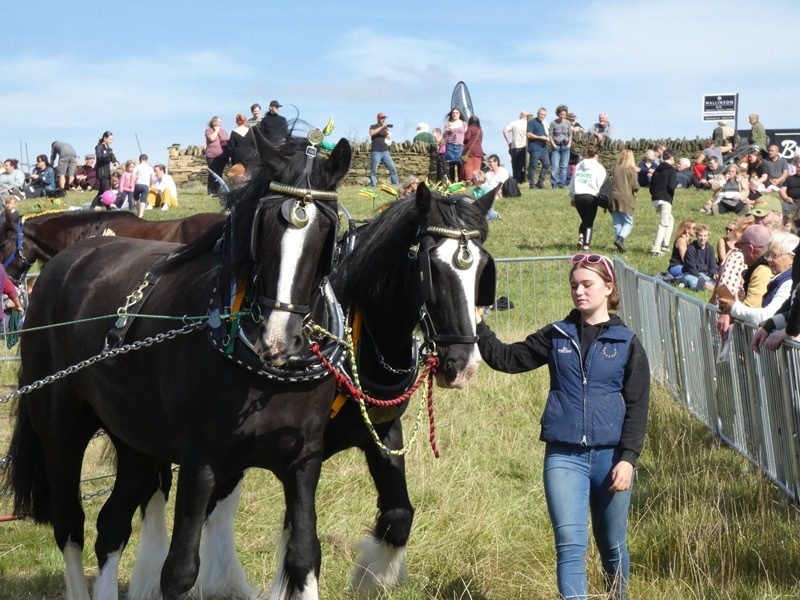 Other image for Volunteers praised as Penistone Show draws crowds